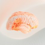 kommers-9A9TcXEsy6c-unsplash